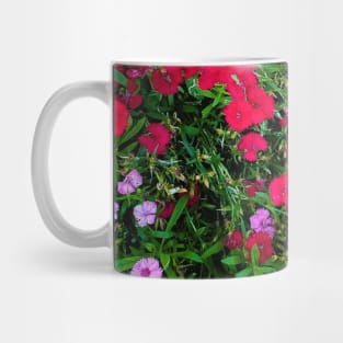 ALL COLOR FLOWERS PHOTOGRAPHY MY Mug